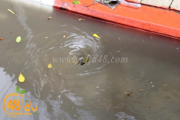 arain in yaffaj3 (8).JPG